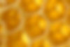 Honeycomb Closeup